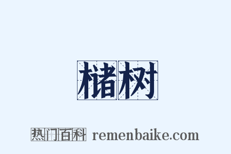 槠树是什么意思的图片